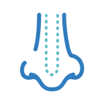 Ринопластика (пластика носа)