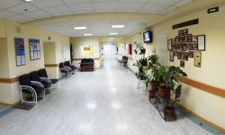 Государственный центр пластической хирургии