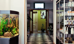 Клиника пластической хирургии «Лантан»