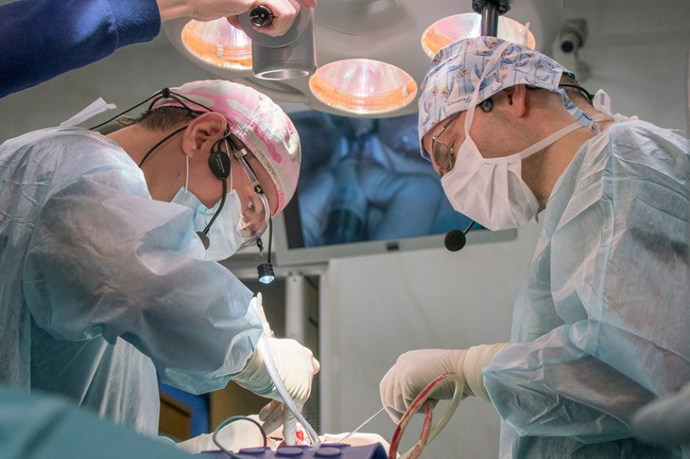 Хирург проводит мастер-класс по ринопластике.