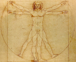 Австралиец сделал пластику лица в стиле да Винчи