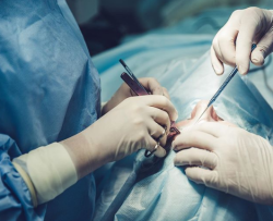 Пластический хирург Мария Шелег оперирует