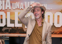 Брэд Питт сделал пластику ради копии молодой Джоли