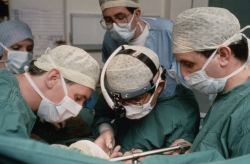 Международная научная конференция в РУДН