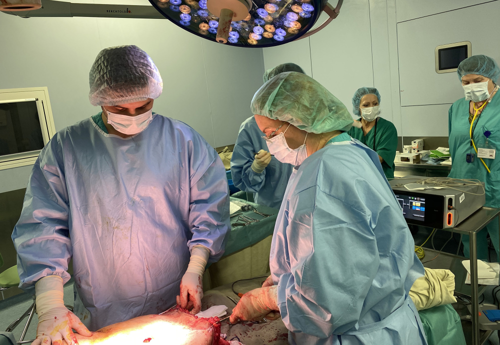 Дмитрий Рябцев и Светлана Пшонкина