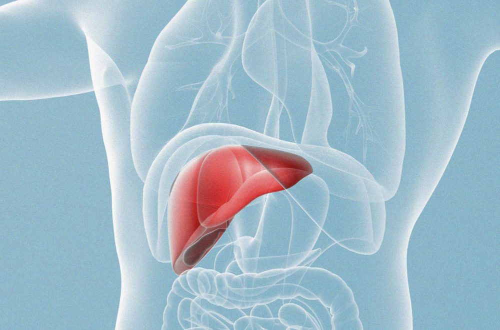 увеличение груди при гепатите B C