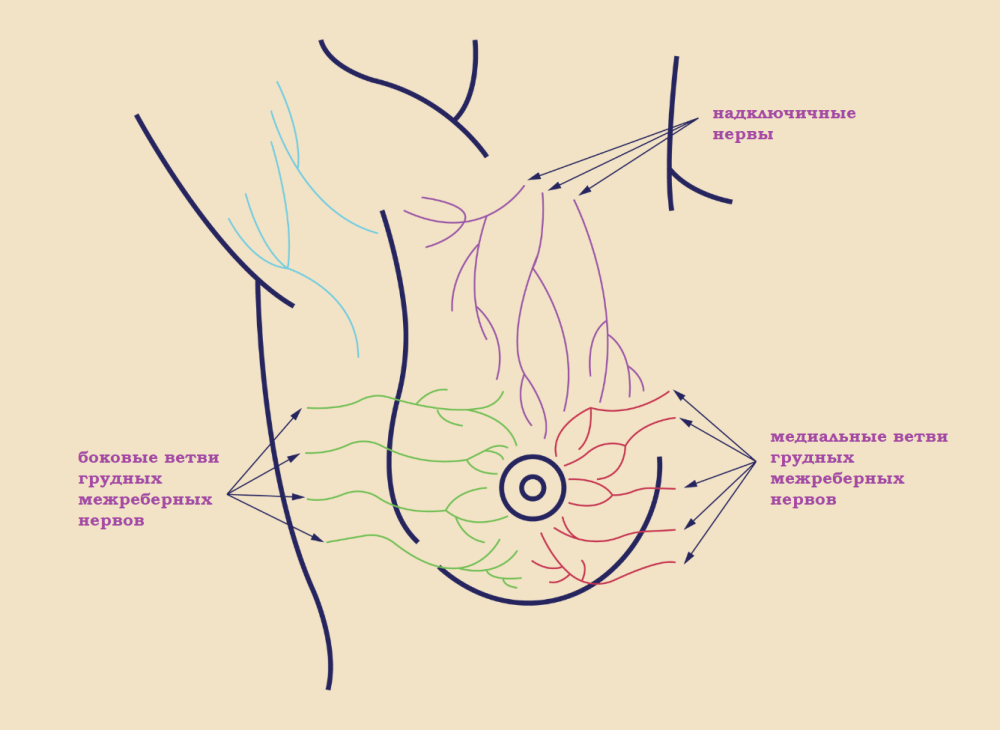 Повреждение нервов после пластической операции